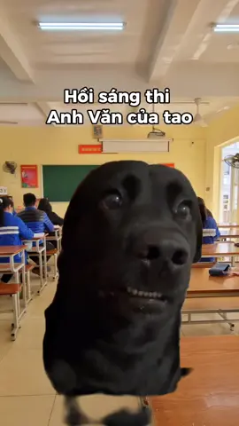 #Meme #MemeCut #CapCut Sáng thi nghe tiếng anh như đấm vô tai☺️#LongVu #thihocki1🍀🍀🍀 #xuhuong #fyp #Meme #xh #fpyシ 