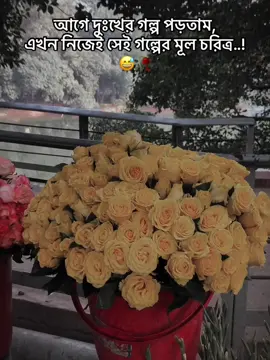 আগে দুঃখের গল্প পড়তাম, এখন নিজেই সেই গল্পের মূল চরিত্র..!😅🥀#CapCut #foryou #foryoupage #viral #fyp #trend #fypシ #capcut 