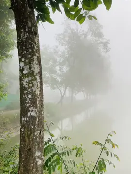 ❤️❤️❤️ #winter #village #foryou #foryoupage #viral #bangladesh #fyp #morning #travelwithchowdhury #fypシ #relaxing #trendingvideo #naturelover 