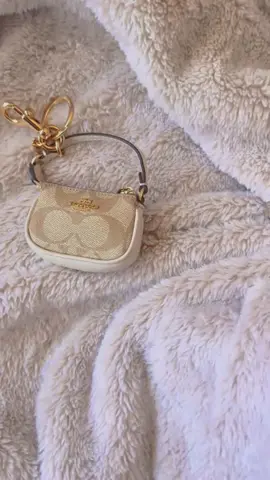 #bag #girl #makeupbag #fyp 