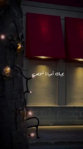 الشخص الصح ♥️…#canada_life🇨🇦 #مجرد_تصوير #fyp #rayanayoubi #عالطريق #montreal #اقتباسات 