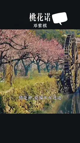 Đào Hoa Nặc #nhachaymoingay #nhachay #daohoanac #dangtuky 