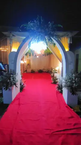 Raja terop ready menerima persewahan pesta pernikahan molai paket biasa sampek vvip #tenda #tendapernikahan #decoration #fypシ #fypdongggggggg 