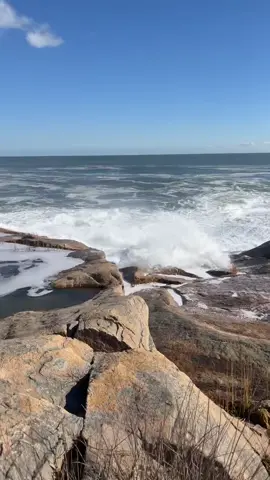 i could sit and watch the ocean forever 