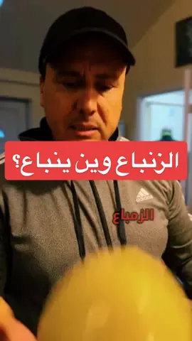 الزنباع وين ينباع؟ #الزنباع_وين_ينباع؟  #زردة_ليبية #بنغازي_طرابلس_ترهونه_رجمة_سرت_طبرق #مصراته #بنغازي  #اجدابيا_بنغازي_البيضاء_طبرق_ليبيا  #غريان #تيك_توك #viral #foryourpage  