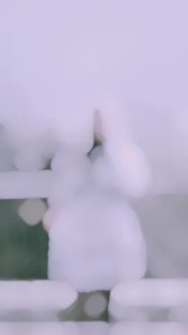 ندعس الروس…وعلينا تمتد.#CapCut #jessicaalalam #fyp #foryoupage #viral #explore #mohanadzaiterofficial 