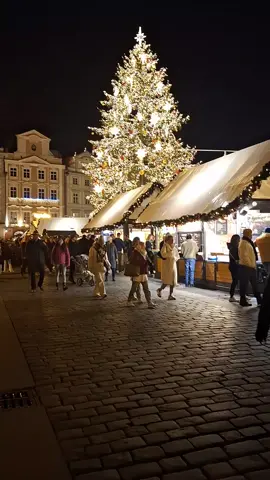 Praga ❤️ #praga #pragaanatale #christmas #christmasprague #mercatinidinatale #republicaceca🇨🇿 #christmasmarket #natale2023 #magia #casettelegno #andiamoneiperte #viralvideo #fyp #natalepraga #piazza #alberodinatale #christmas2023🎄🎁🦌🎅 #tiktokprague🇨🇿❤️ #praha 
