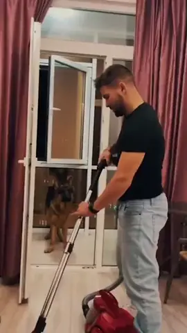 #hundevideos #fyp #foryou #hunde #dogvideos #dog #live 