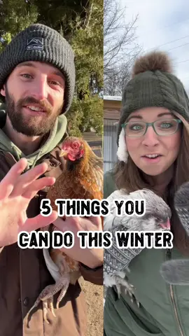 5 tips to help your chickens this winter ❄️🐔 @purelychickens  #1 Keep the Food & Water coming. Your birds need lots of fresh water to stay hydrated and food to maintain body heat.  #2 Give them space that’s out of the wind and dry. They are more resilient than you might think, but a good shelter is really important.  #3 Avoid using supplemental heat if at all possible.  Chickens adjust to the cold really well, but if you never allow them to acclimate to the weather and the heat lamps go out, they’ll be in trouble.  #4 Bedding needs to be dry and clean. As they spend more time in the coop it’s important to use a bedding that isn’t dusty to avoid respiratory issues. We highly recommend @Eaton Pet & Pasture bedding for this reason and more!  #5 Provide a flat place to roost so your chickens can better cover their feet and avoid frostbite  Follow us for more chicken tips! 🐔👍  #chicken #chickens #poultry #hens #layinghens #winter #cold #tip #tips #animalcare #bird #birds #homestead #homesteading #tip #tips #backyardchickens #backyardpoultry #helpful #shilohfarm #purelychickens 