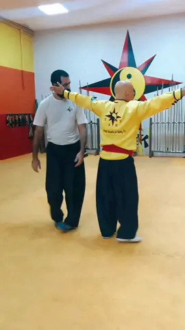 #tskf #kungfu #kungfuadistancia #kungfuonline #wushu #louvaadeus #artemarcial #artesmarciais #shaolin #chikung #camisadeferro #humor