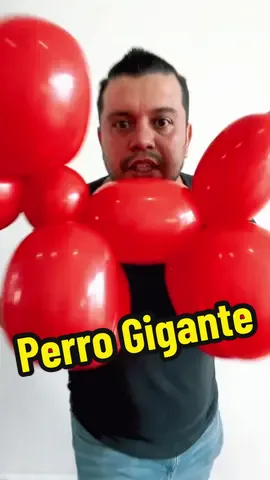 Reto perro gigante con globos 🐶✨ #AprendeEnTikTok #manualidades #globos #perros #mascotas 