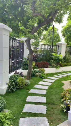 Hoàn thiện góc sân vườn nhỏ cho anh trai chơi tết #ongchusanvuon #thicongsanvuon #sanvuondep 