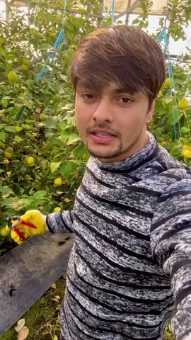 जुनसुकै फलफुल अथवा तरकारी लाइ पनि यसरी राख्दा छिटो कुहिँदैन्। यो एक सानो तर राम्रो तरिका हो।❤️❤️❤️❤️❤️🥰🥰🥰🥰