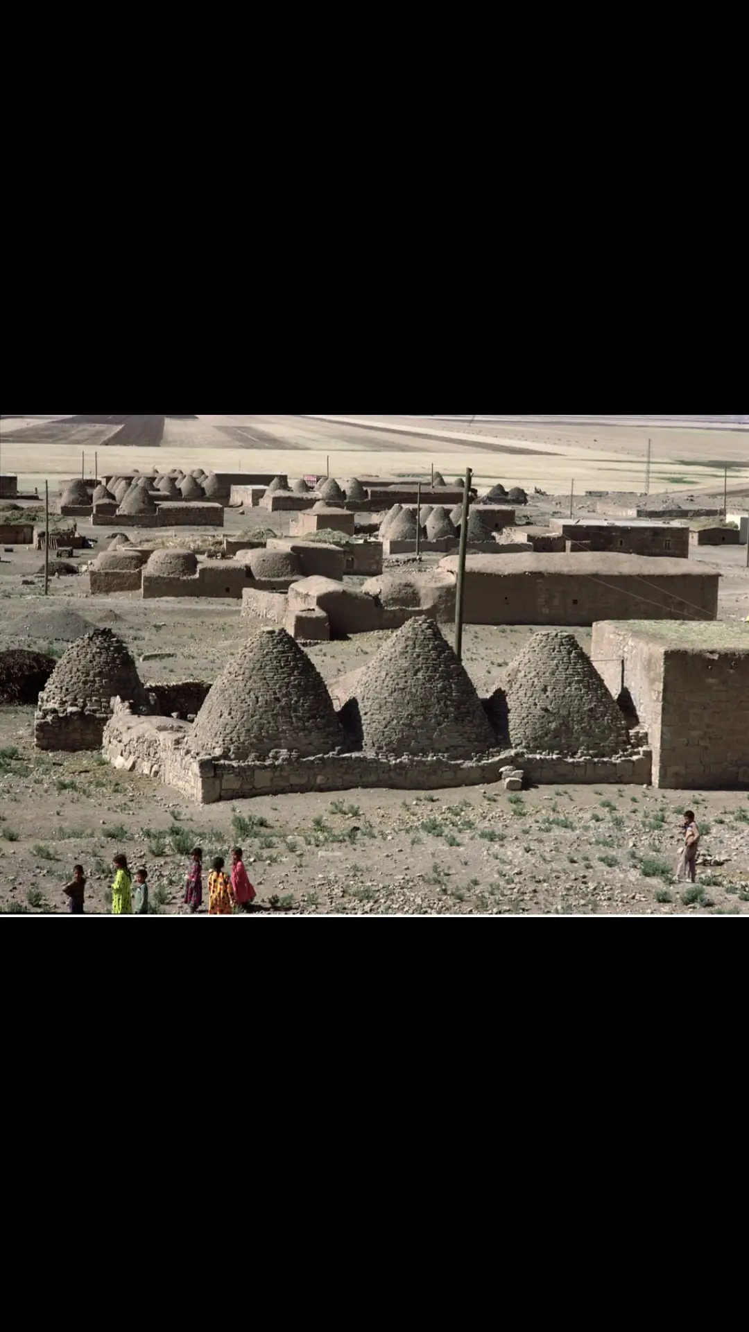 #حلب_الشهباء #قديمك_نديمك_ذكريات🌹🌹 #تركيا_اسطنبول_العراق_سوريا_مصر #القديم_دهب #شعبالعربي #السعودية #ااعراق❤️🇮🇶 #سوريا_تركيا_العراق_السعودية_الكويت #خليجنا_واحد🇸🇦🇰🇼🇴🇲🇶🇦🇦🇪🇧🇭 #بغداد_بصرة_موصل_الكويت_الخليج_دبي_ 