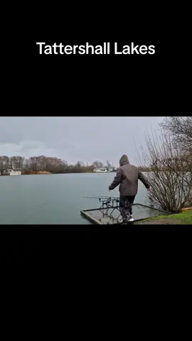 What a run at Tattershall Lakes! Carp 💜 my happy place #lake #fishingvideos #fishing #carpfishing #mirrorcarp #fishinggirl #fishinggirls #angler #fishingholiday #fishinguk 