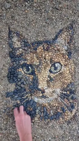 Portraits created by using pebbles😄 Artist @pebblepicassos #pebbleart #art #artist #portraitart #animalart  