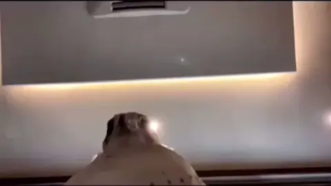 #fypシ #الخرج #الخرج 