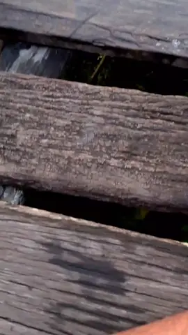 nyoreee😃 #stoy #fy #storywa #yppppppppppppppppppppppppppppppppppppシ #sad #nyore #sanset #kalimantanbarat #ambalau #kemangai #tontang #serawai #pinoh #sintang 