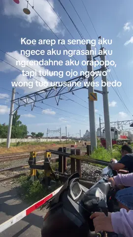 Anak mana yang tega orangtuanya dihina?#fypシ #fyp #padahariini #solo24jam 