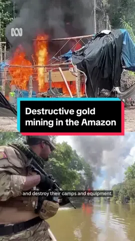 Deep in the Amazon rainforest, Brazil is fighting destructive wildcat gold mining that has spread from Indigenous lands into government-protected conservation areas. #Amazon  #Brazil #Conservation #ABCNews