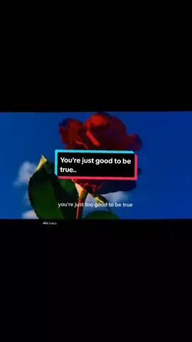 You're just good to be true... #musiclyrics #photoctto #songctto #fyppppppppppppppppppppppp #foryoupage 
