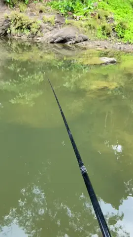 Penting ora rewel 🤫 #xybca #fyp #CapCut #mancingbebek 