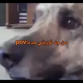 #fyp #viralvideo #الخرج_الآن #جده #من_جدة 