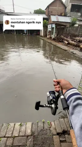 Membalas @𝘮𝘢𝘴 𝘨𝘢𝘭𝘭𝘢𝘯𝘨 stitch vt ini kalau ada yg suaranya lebih bacot🔔#mancingmaniamantap #reelbrisik #fyp #reelpancing #mancing #bawal 