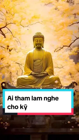 Lời phật dạy Tham lam nghe cho kỹ  #hanhphuc #binhan  #loiphatday #phatphapnhiemmau #phatphap #xuhuong #trending #viraltiktok  #ynghiacuocsong #trend  #phatphap 