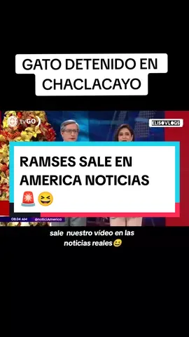 #noticias #peru #americanoticias #americanoticiasmediodia #ultimahora #lima #chaclacayo #ramses #gato #elpishtacodechaclacayo #americanoticiasprimeraedicion #alias #gatosebusca #noticiadeultimominuto #atvmasnoticias #magalymedina #willax #viral #foryoupage #parati #fypシ 
