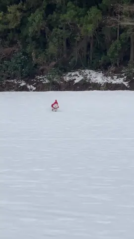 ⛄️🐶 🥰tag your friends🥰 Follow us @maltesecutes Follow us @maltesecutes ...................................... ...................................... 🎥manon_jeju #maltese #maltesers #malteseofficial #maltesebaby  #maltesepup #maltesedog #maltesefamily #malteses #malteseoftheday #malteseinstagram  #maltesepoodle #malteser  #malteseterrier #maltesenation  #malteselove #malteselovers  #malteselover #malteseworld  #maltesemix #maltesecutes #maltesegram #esmaltesecores #maltese101 #malteseshihtzu  #malteselife #malt