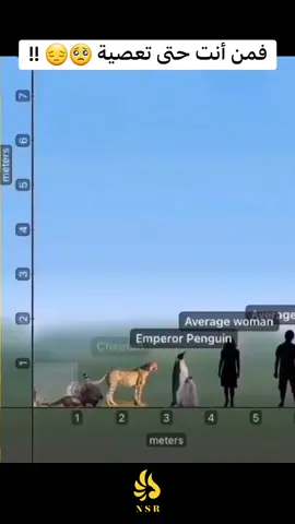 فمن أنت حتى تعصية 🥺😔 !! . . . #fyp #fypシ #foryou #foryoupage #explor #viral 