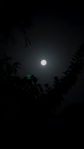 يحن القلب ويزيد اشتياقي .. على الليل الطويل اللي سريته #حنين #اشتياق #حب #شعر #شيلات #قصائد #نايف_الراضي #ترند_جديد #اكسبلوور #مجرد_ذوق #fypシ #viral 