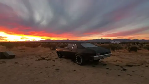 shit never gets old.
