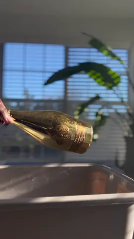 In a world without art, there would be no galleries of emotion, no sculptures of passion. It’s like art is the language of our soul, and without it, our voices would be muted. #brokenbottleart 