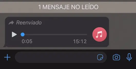 #audiosparatiktok #audiosparaguayosgraciosos 