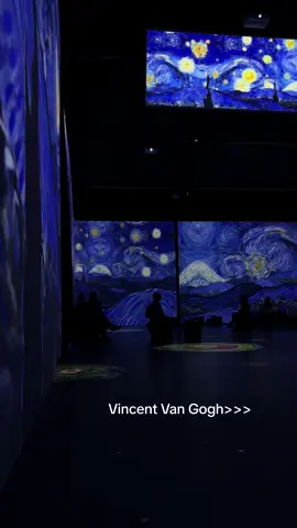 Wystawa sztuki Vincenta🤍🤍🤍       #iFondo #dc #fyp #famous #wystawa #vangogh 