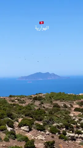 #الهوارية_الساحرة👑🤩🇹🇳 #hawaria_nature_tunisie❤️ #الهوارية_نابل_تونس #🇹🇳🇹🇳🇹🇳_تونس #italie🇮🇹 #pontalariya🇮🇹❤️ #musically #gopro #tiktoklong #tik_tok_dz #exploreاکسبلور #حظراكسبلور #foryoupage #likesgood #beutifiul💕✨ #fypシ #naturephotography📷 