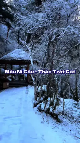 Đi đến nơi có tuyết - Thác Trát Cát - Mâu Ni Câu - Cửu Trại Câu - Trung Quốc #chinatrip #traveltiktok #maunicautrungquoc #cuutraicautrungquoc #cuutraicau #ngamtuyet #jiuzhaigou #mounigou 