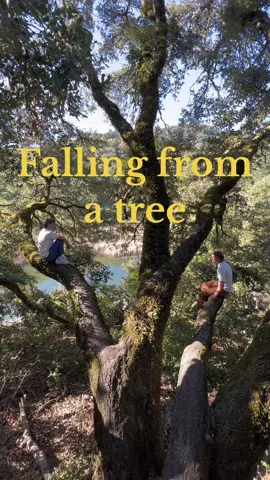 Tag a tree! #friendship #wholesome #wesanderson #hopecore #corecore