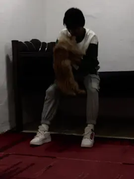 #CapCut  عمي عينك الخلتك مليتني💔