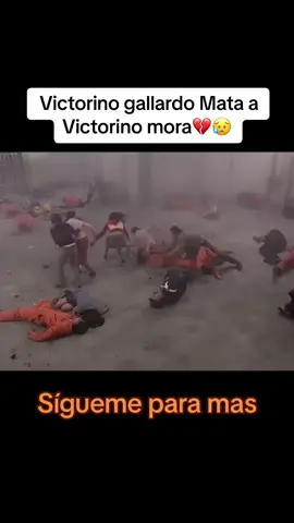#telemundo #presenta #victorinos 