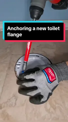 Anchoring a new toilet flange and setting the fixture 🚽💦 #plumbing #plumber #fyp 