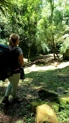 Part 1 - Cooking in nature  #brazilianadventure #asmr #asmrsounds #fyp #fy #for #foryou #Outdoors #nature #cooking #camping 