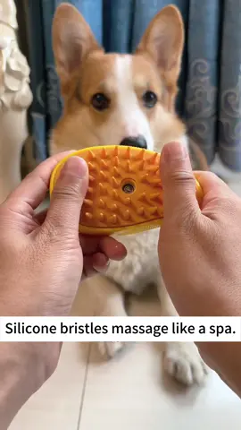 Well-designed massage comb spray makes my puppy happier than ever! #puppy #dog #pet #fyp #dogtoy #tiktok #viralvideo #2024 