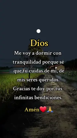 Díos. Me voy a dormir con tranquilidad porque sé que tu cuidas de mí. 🙏❤️🌛😇 #oracióndelanoche 🙏💖✨️