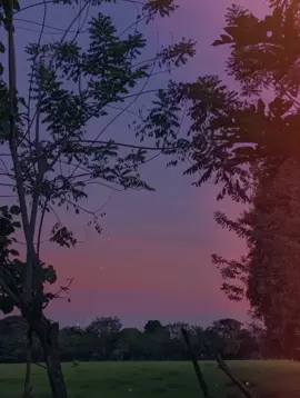 El hit - silvestre Dangond 📌 #silvestredangond #vallenatosparadedicar #vallenatoparaestados #fpyシ #vallenato #parati #vallenatoparatodoelmundo 