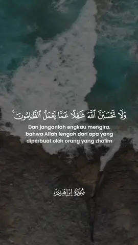 Murottal Al-Qur'an Merdu | Surah Ibrahim Ayat 42 | IslamSobhi #murottalquran #alquran #islam #renungan #fyp 