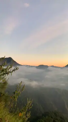 Tiada tempat ternyaman kecuali di atas gunung dan menikmati megahnya negri di atas awan 🏕️⛺🏔️ #bukitnanggi2300mdpl #fyp #sasakvirallombok🥀 