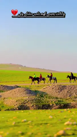 الخيالة🤍🐎#شخير #جنوب_الموصل #كيارة #اجواء #الربيع #الشاعرة #مارلين_الرملي 